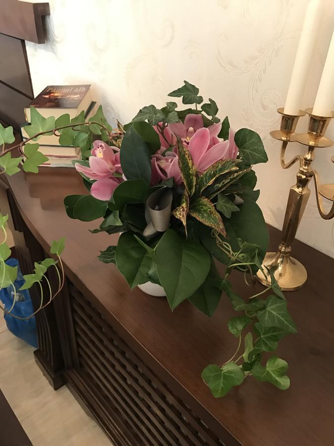 Hotel Boutique Belvedere 시나이아 외부 사진